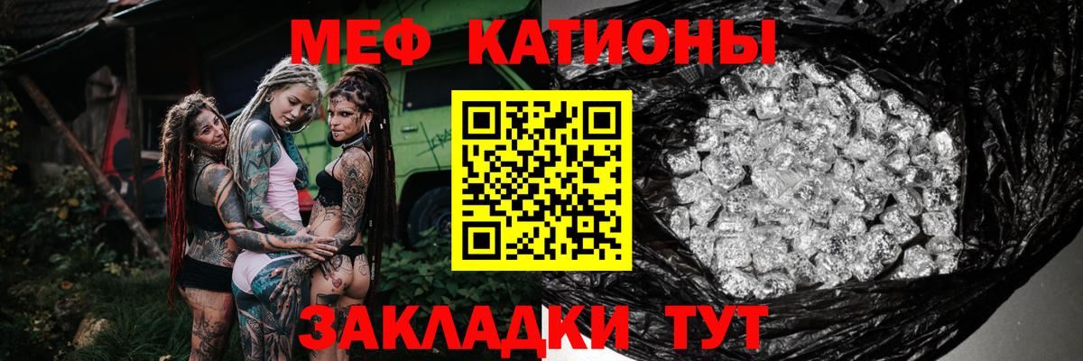 МЕФ  Луга