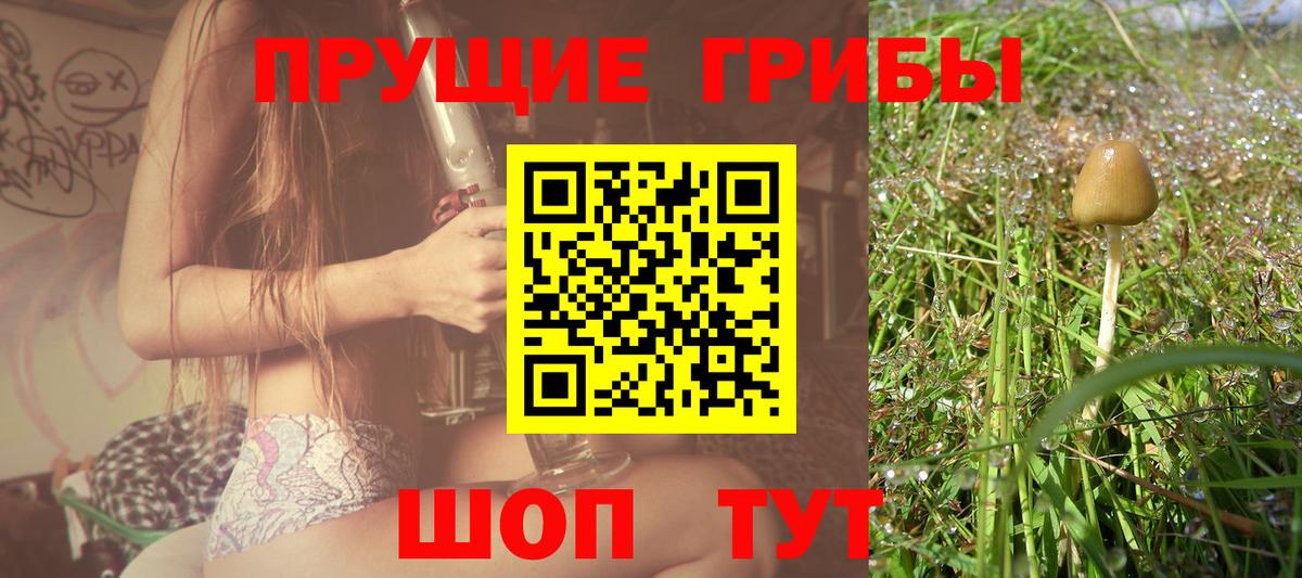 Галлюциногенные грибы мицелий Луга