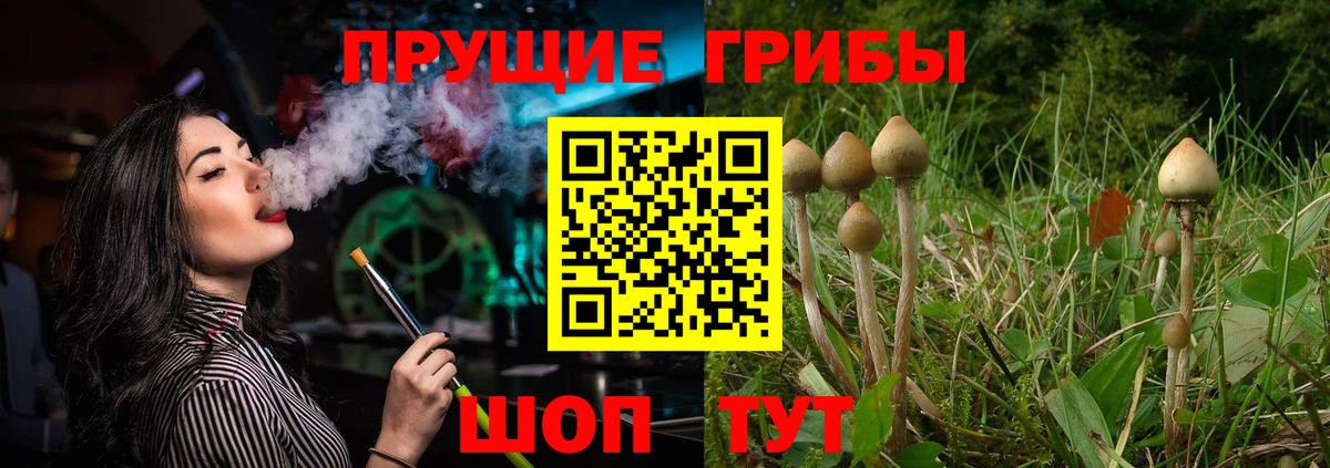 Луга  КОКАИН  Меф МЯУ МЯУ кристаллы  Вход с VPN  МЕФ  ГАШИШ  Бошки Шишки 